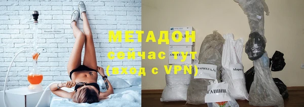 сатива Абинск