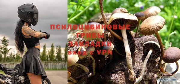 гидра Абаза