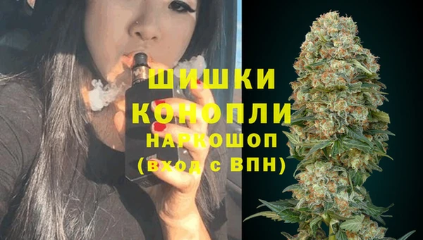 гидра Абаза