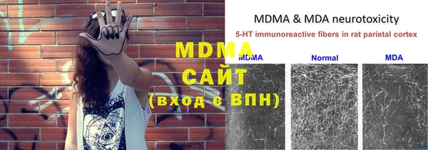 сатива Абинск