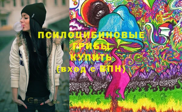 сатива Абинск