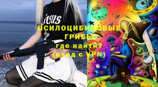 сатива Абинск