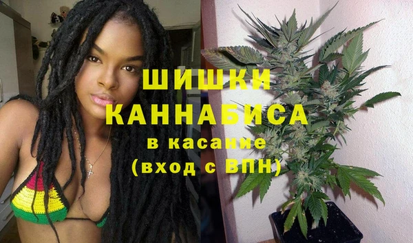 сатива Абинск