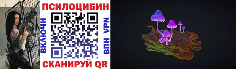 сайты даркнета клад  Хабаровск  Галлюциногенные грибы Psilocybe  где купить наркотик 