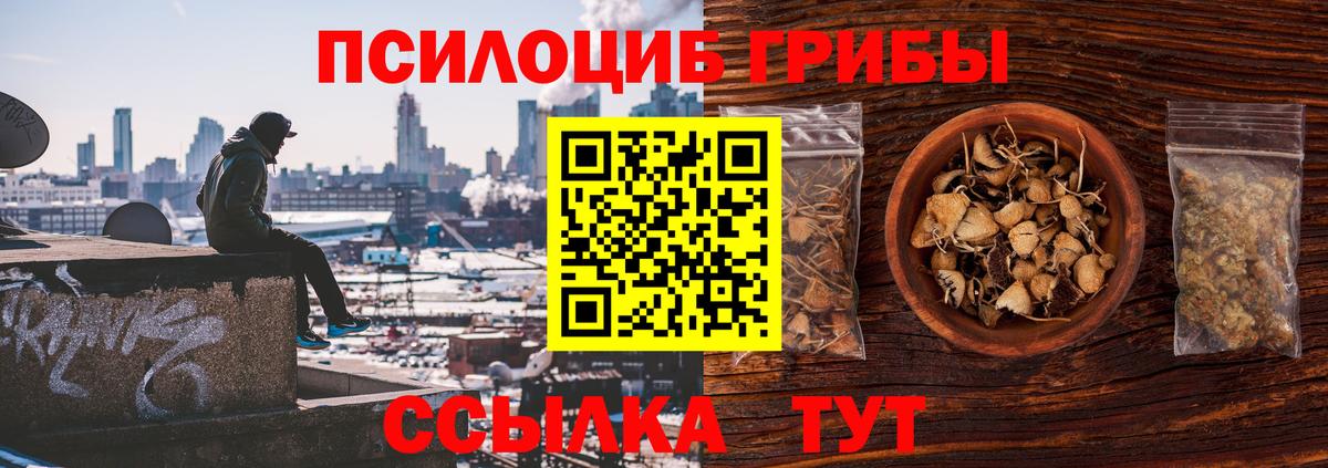 Псилоцибиновые грибы Magic Shrooms  Вход с VPN  Псилоцибиновые грибы мухоморы  Хабаровск 
