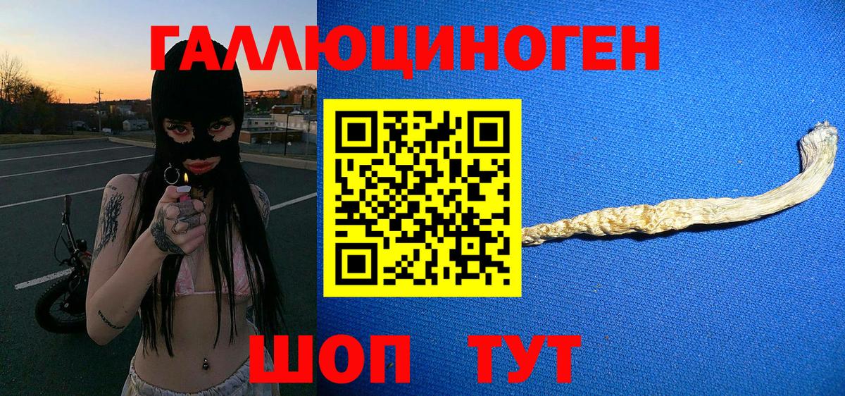 Псилоцибиновые грибы мицелий Хабаровск